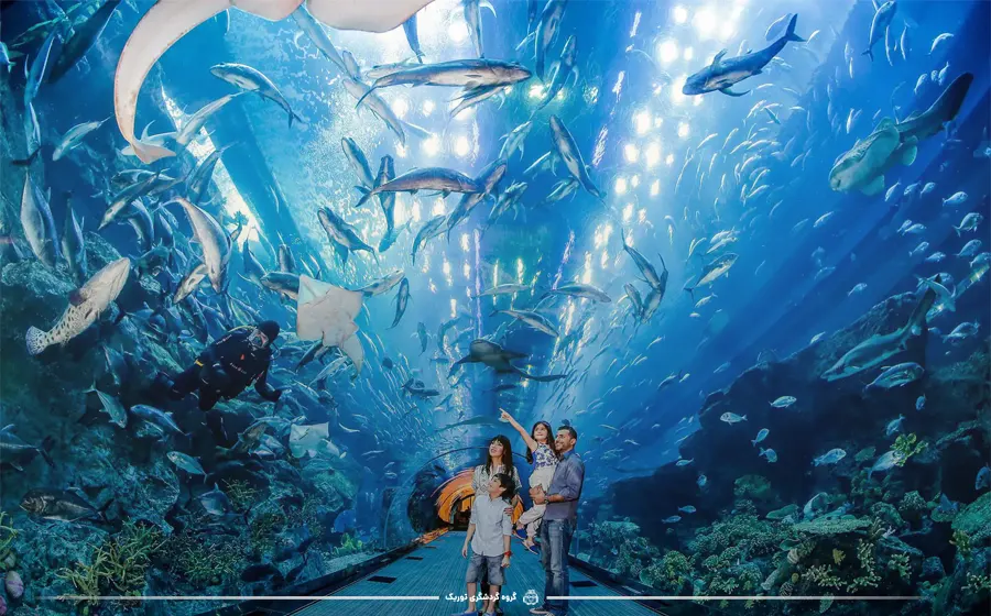 ۱- آکواریوم و باغ وحش زیر آب (Dubai Aquarium & Underwater Zoo)، محلی برای تجربه زندگی دریایی در دبی - تفریحات شبانه دبی