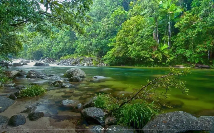 Daintree Rainforest - جاذبه‌های گردشگری استرالیا