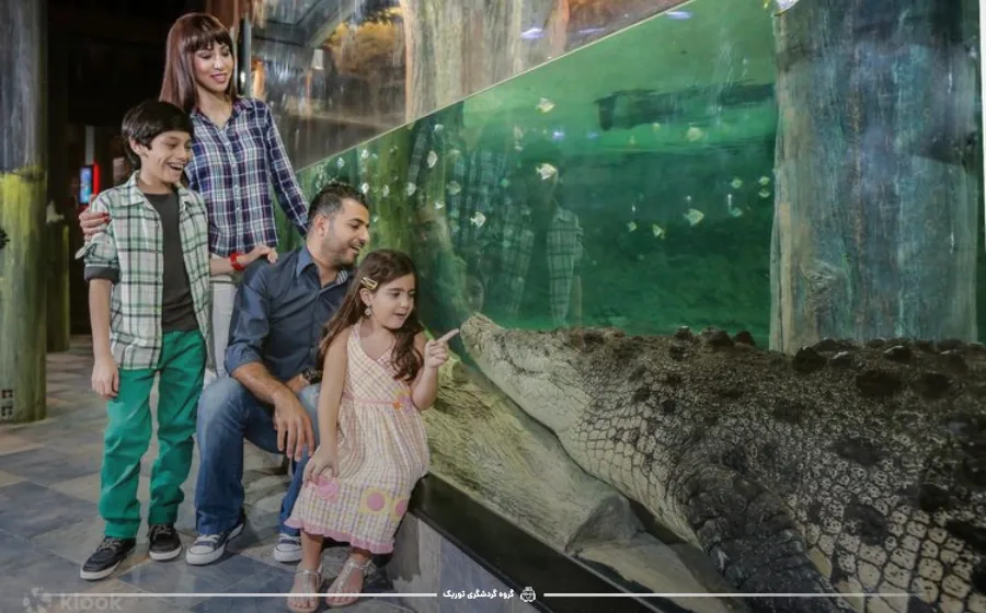 بازدید از آکواریوم دبی و باغ وحش زیر آب دبی
