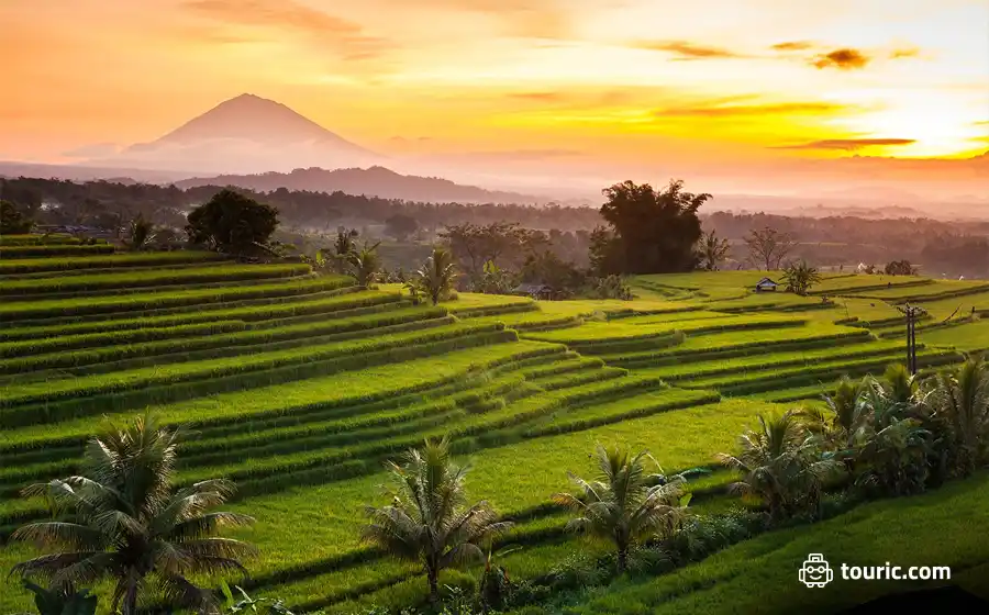 مزارع برنج Jatiluwih، بالی - دیدنی‌های اندونزی