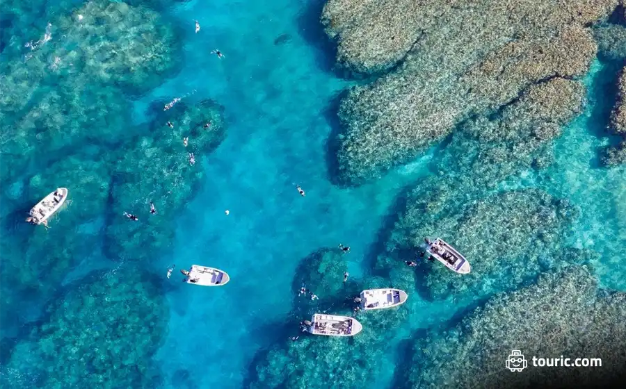 Rowley Shoals Reef System - طبیعت استرالیا