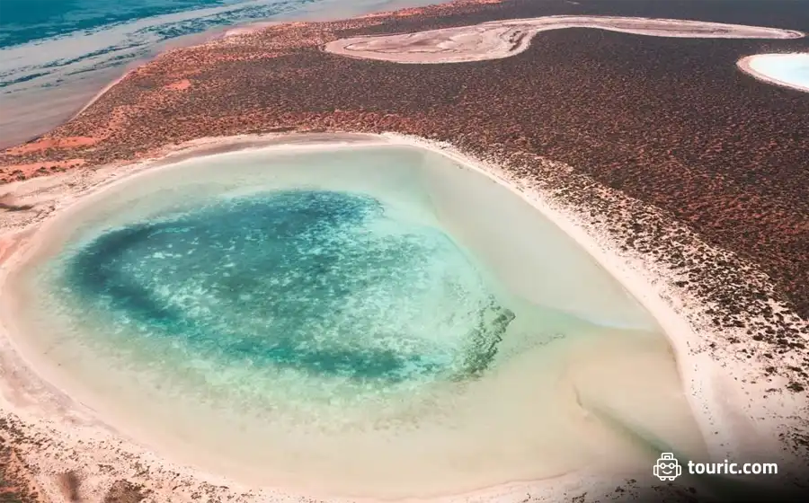 Shark Bay - طبیعت استرالیا