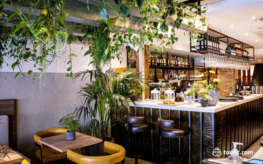 کافه آنتیپودِآ (Antipodea) - بهترین رستوران‌های لندن