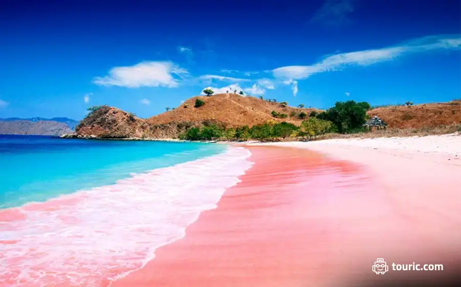 ساحل صورتی (PINK BEACH)، جزایر کومودو، اندونزی - بهترین سواحل آسیا
