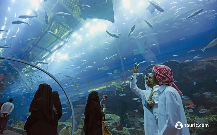تماشای آبزیان متنوع در آکواریوم و باغ وحش زیر آب دبی - تفریحات رایگان دبی