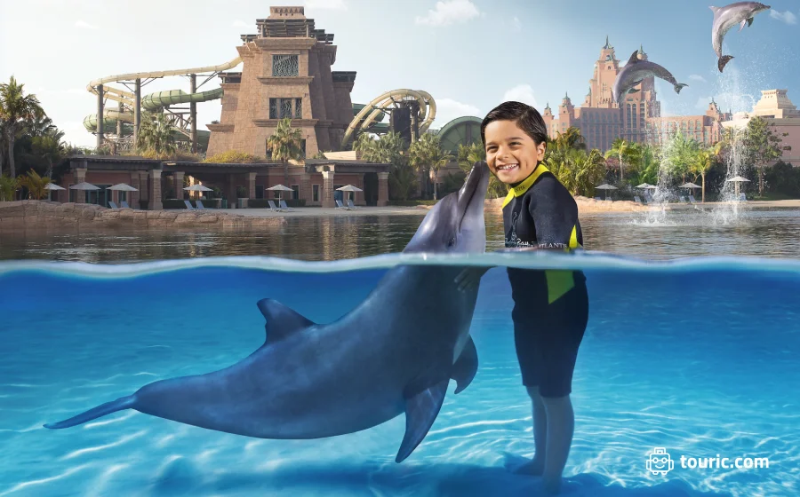 کودکانتان را با دلفین‌ها آشنا کنید - تفریحات مناسب کودکان در دبی