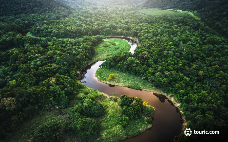 رودخانه و جنگل‌های آمازون