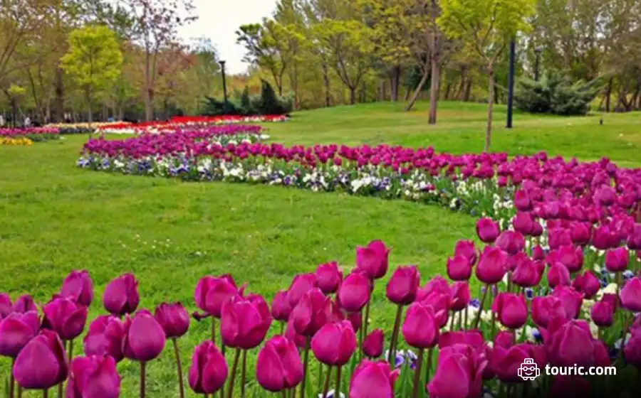 باغ گیاه شناسی